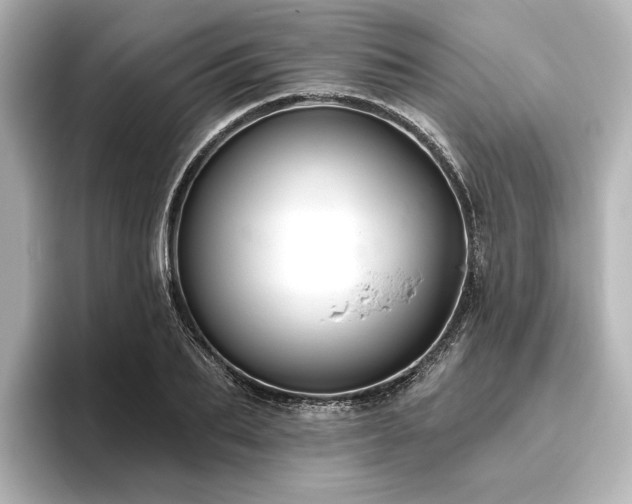 X0000096490887200801241502