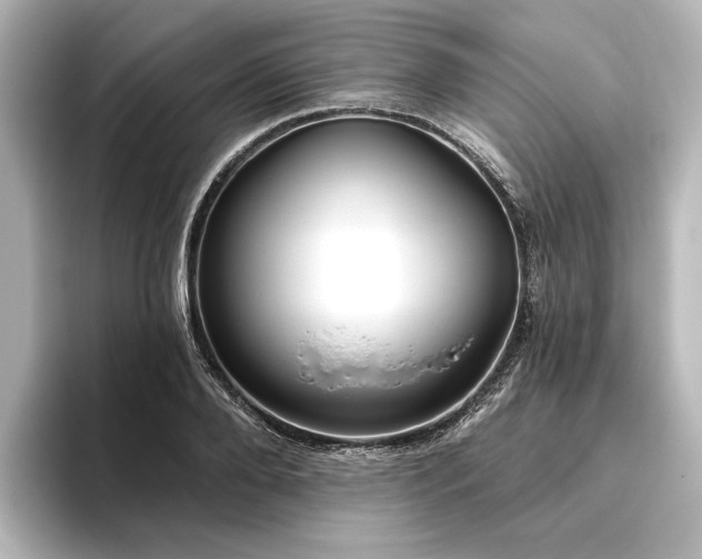 X0000096490888200801241502