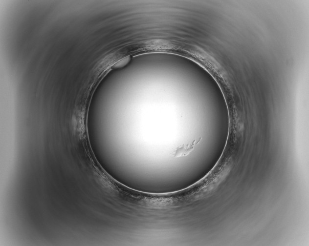 X0000096490889200801241502