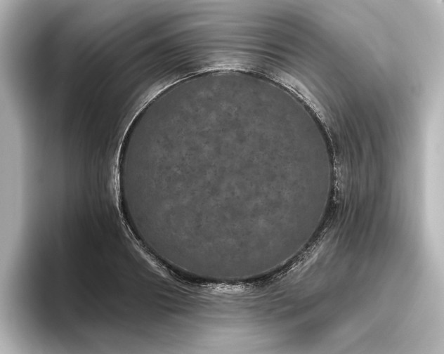 X0000096490890200801241502