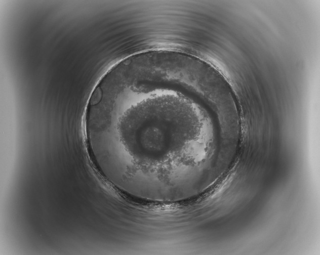 X0000096490891200801241502