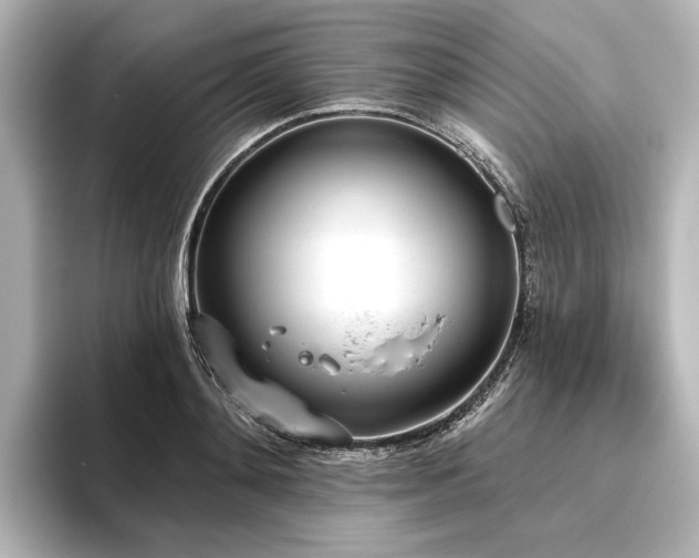 X0000096490892200801241502