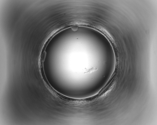 X0000096490893200801241502