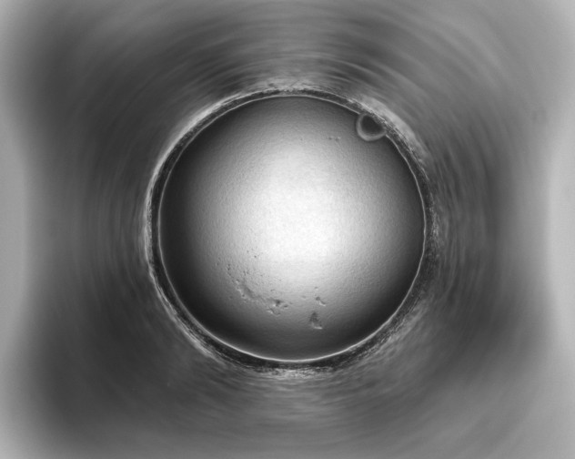 X0000096490894200801241502