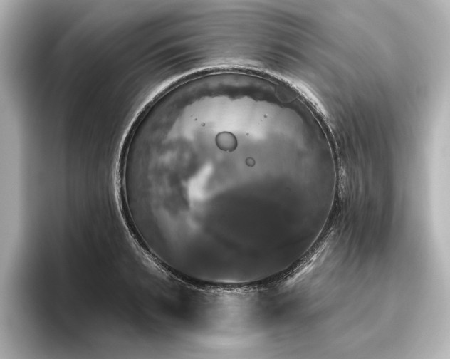 X0000096490895200801241502