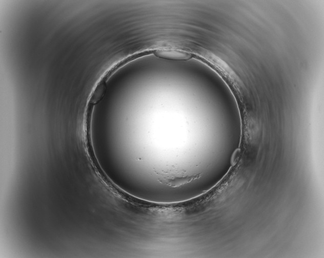 X0000096490896200801241502
