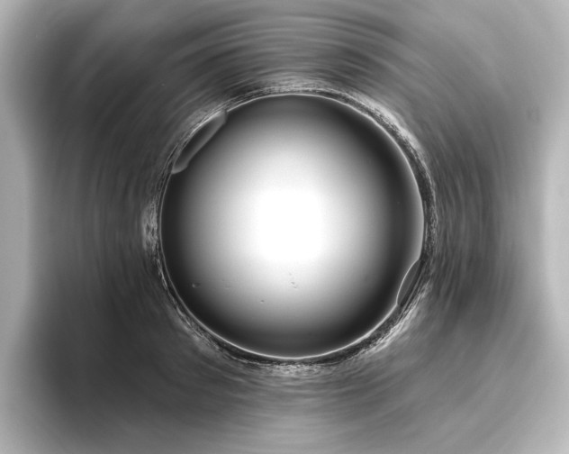 X0000096490897200801241502