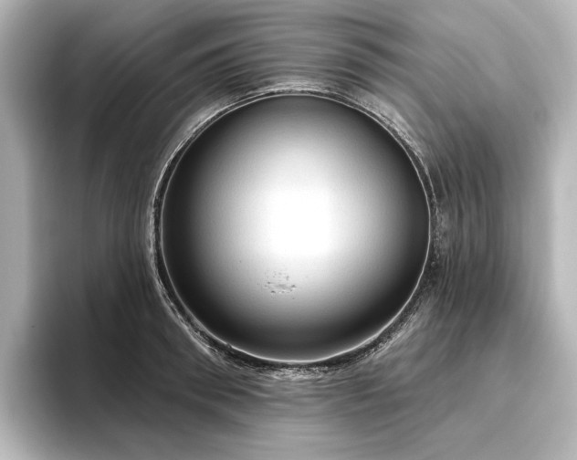 X0000096490898200801241502