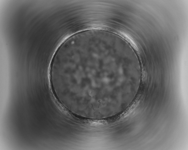 X0000096490899200801241502