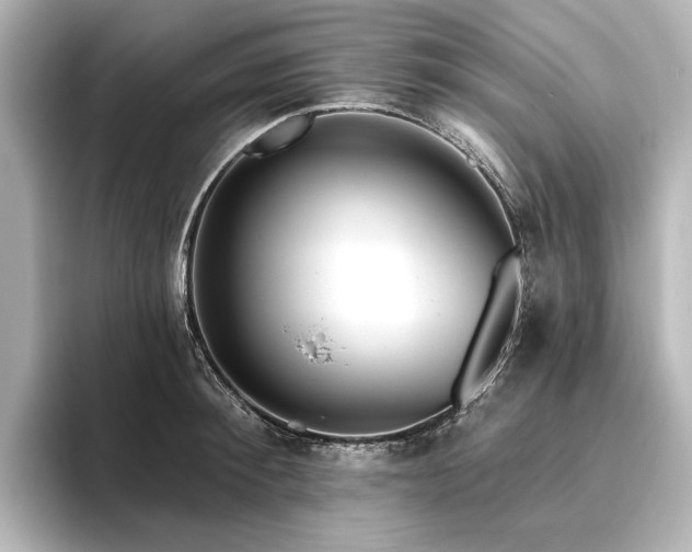 X0000096490900200801241502