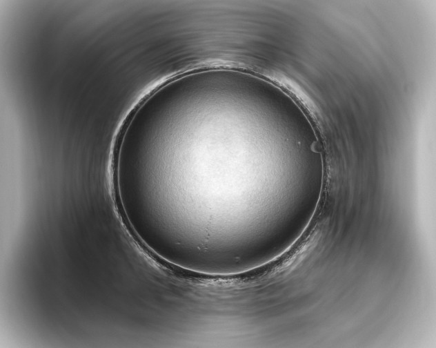 X0000096490902200801241502