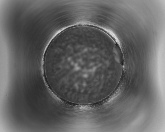 X0000096490903200801241502