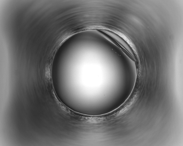 X0000096490905200801241502
