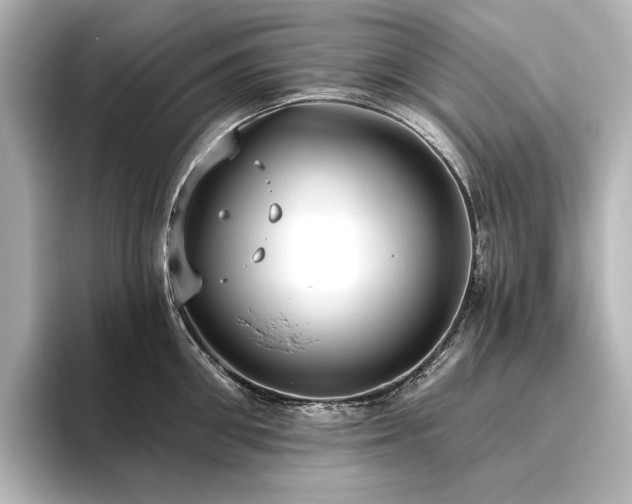 X0000096490906200801241502