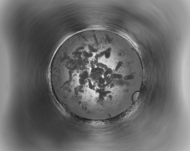 X0000096490907200801241502