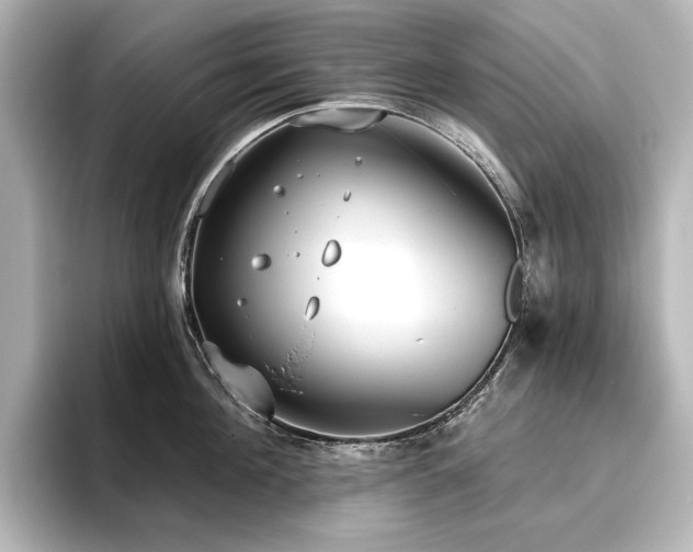 X0000096490908200801241502