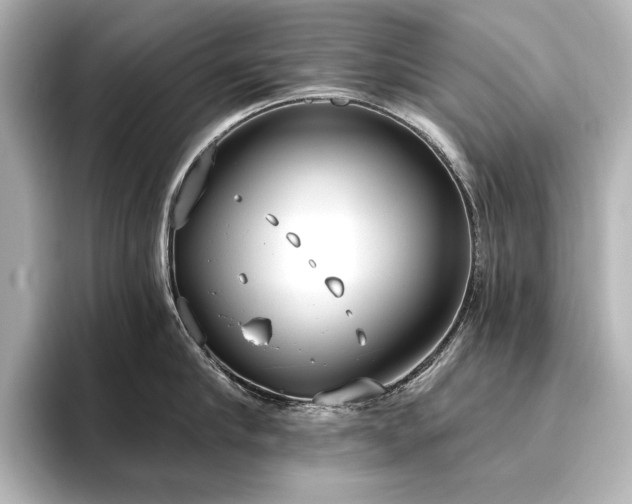 X0000096490910200801241502