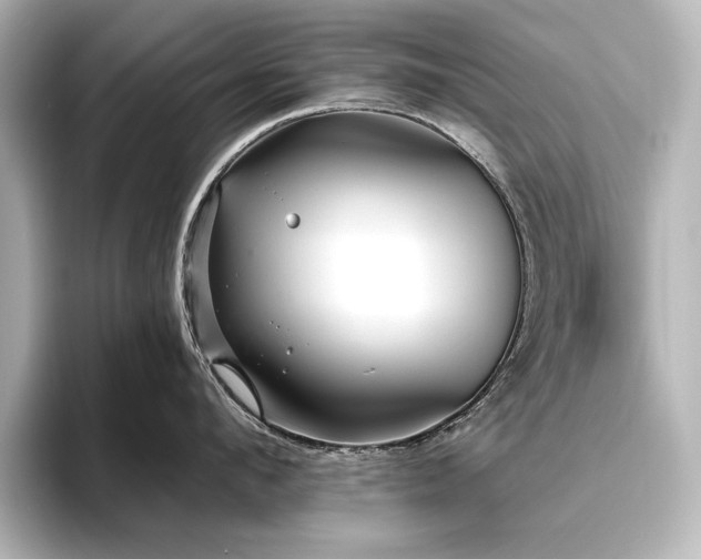 X0000096490912200801241502