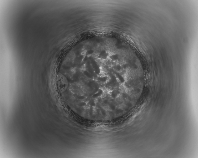 X0000096490913200801241501