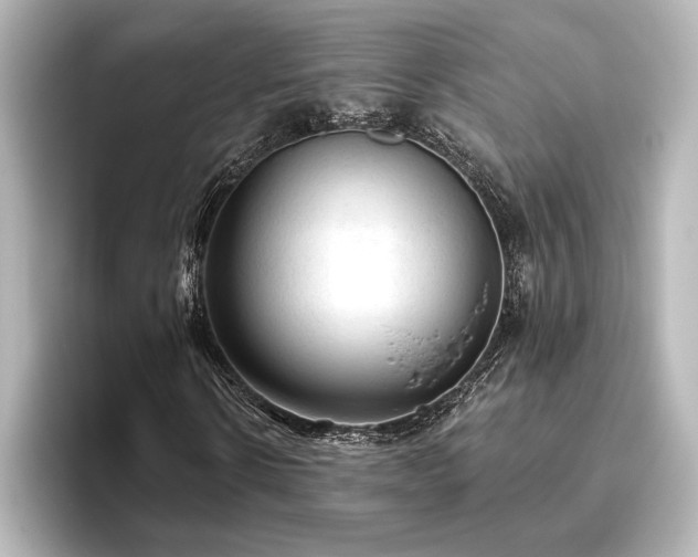 X0000096490914200801241501