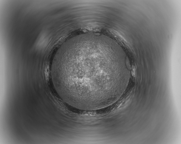 X0000096490915200801241501