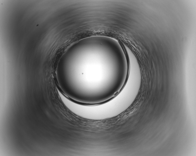 X0000096490916200801241501