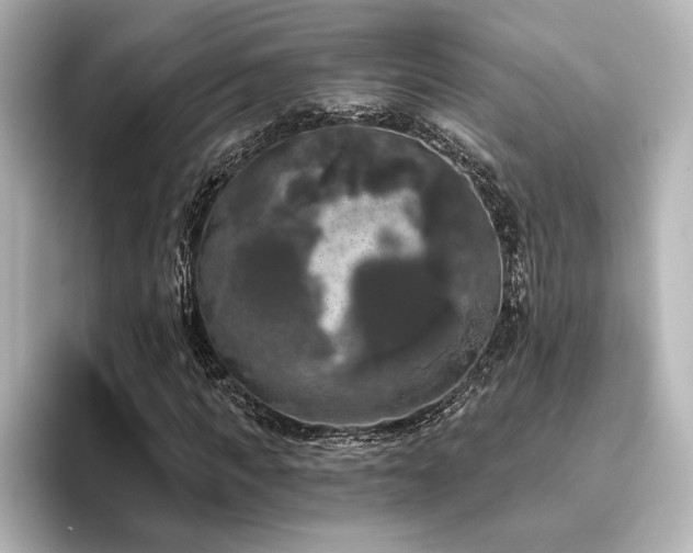 X0000096490917200801241501