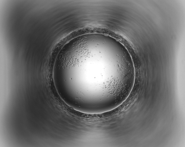 X0000096490919200801241501
