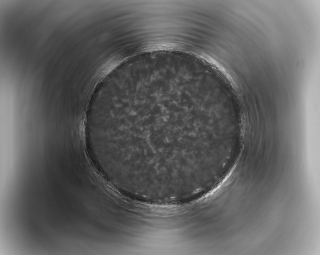 X0000096490921200801241501