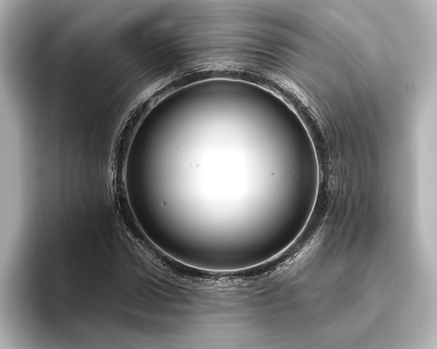 X0000096490922200801241501
