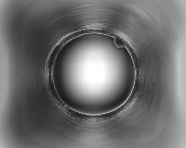 X0000096490923200801241501