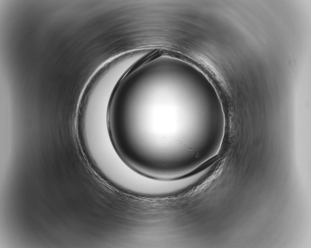 X0000096490924200801241501