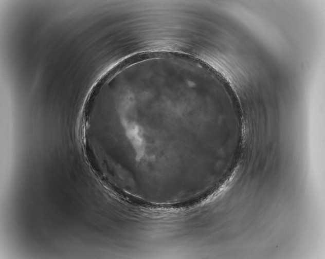 X0000096490925200801241501