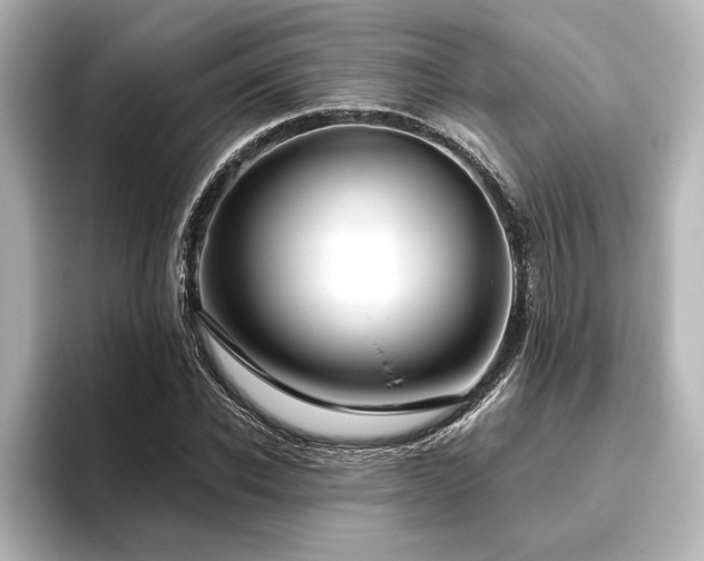 X0000096490926200801241501