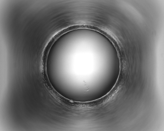 X0000096490927200801241501