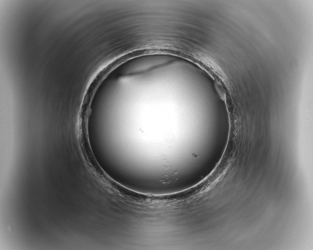X0000096490928200801241501