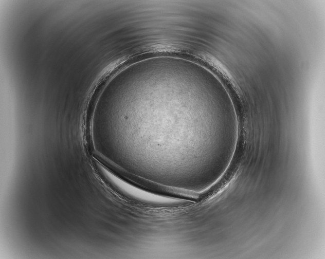 X0000096490930200801241501