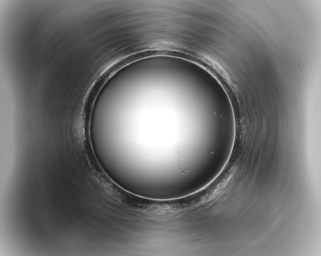 X0000096490931200801241501
