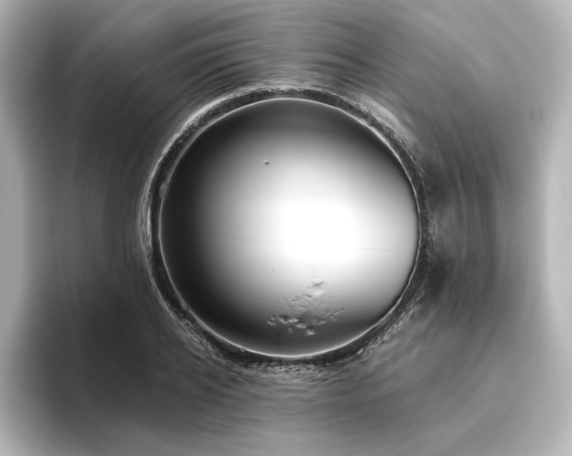 X0000096490934200801241501