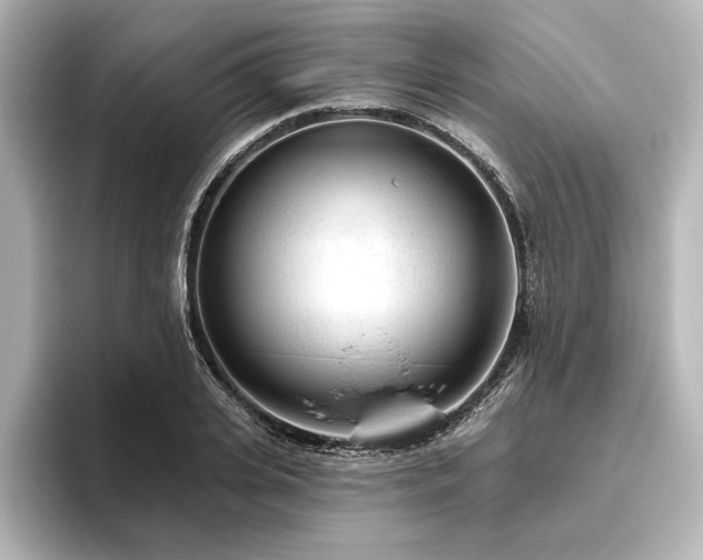 X0000096490935200801241501