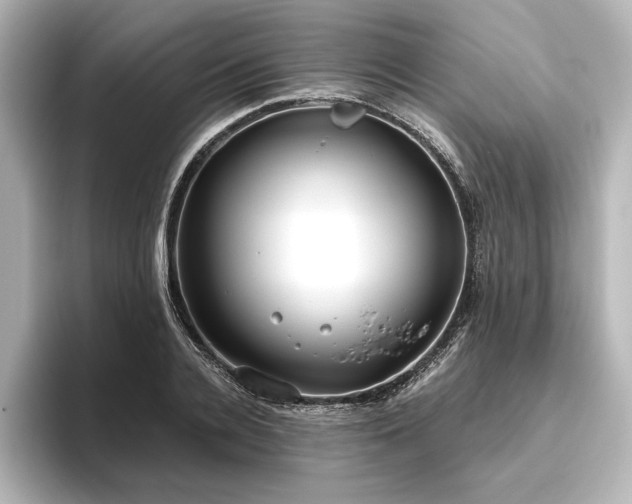 X0000096490936200801241501