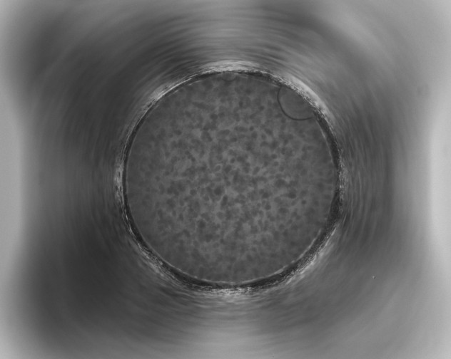 X0000096490937200801241501