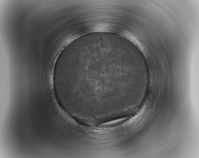 X0000096490938200801241501