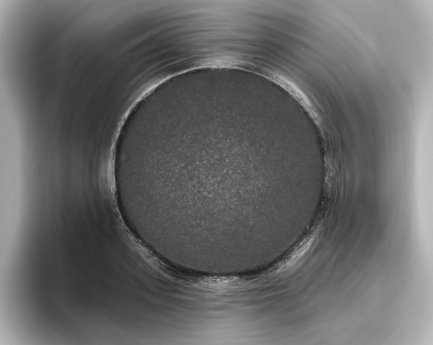 X0000096490939200801241501