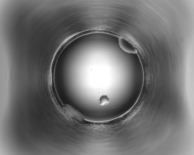 X0000096490940200801241501