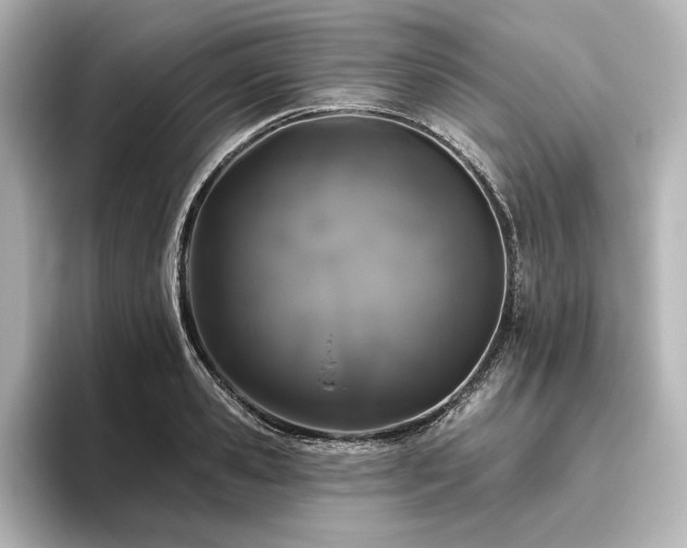 X0000096490941200801241501