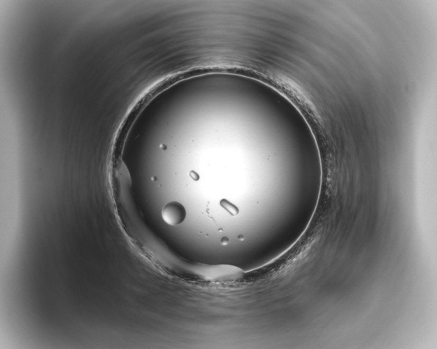 X0000096490942200801241501