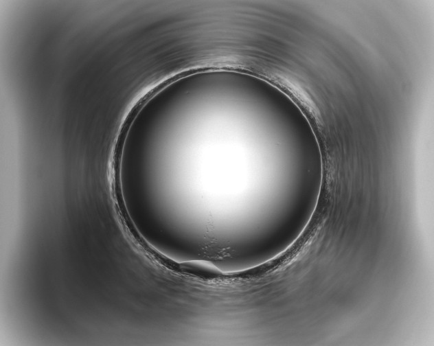 X0000096490944200801241502
