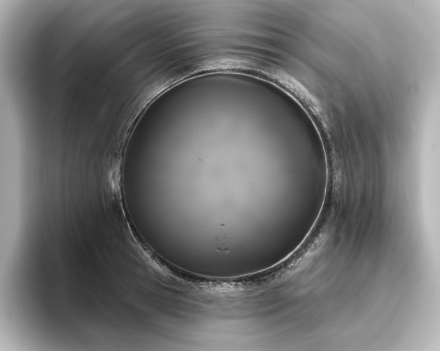 X0000096490945200801241502