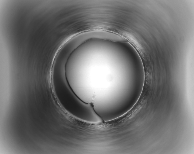 X0000096490948200801241502